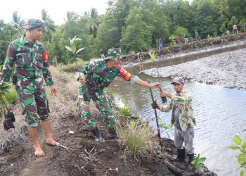 500 Pohon Mangrove Ditanam di Desa Uwedikan