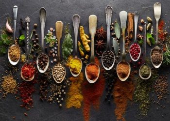 Mengungkap 5 Jenis Penyakit Yang Dapat Di obati  Dengan Tanaman Herbal