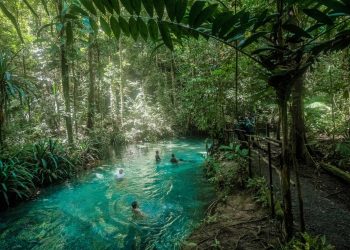 Kali Biru Genyem Papua: Surga Cantik di Bumi Cenderawasih