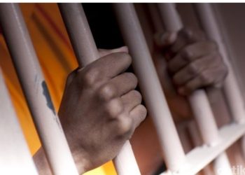 Diduga Melakukan Pelecehan Seksual, Oknum Kades di Simpang Raya Ditahan,