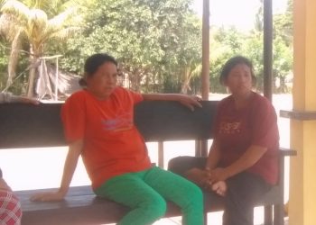 Kasihan ! Perusahaan Polisikan 4 Warga karena Dituduh Mencuri Buah Kelapa