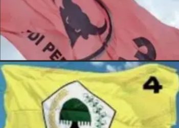 PDI-P Geser Golkar,  Hanira Lasantu Duduki Kursi Ke 10 Dapil 2 Banggai