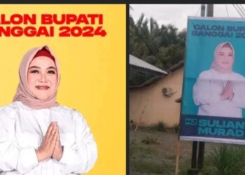 Jelang Pilkada Banggai 2024, Baliho Sulianti Murad Mulai Bertebaran