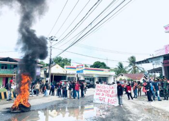 Tokoh Adat di Penjarakan PT. MAB, Ratusan Warga Batui Demo dan Blokade Jalan