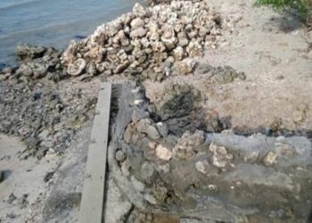 Miris ! Pembangunan Tanggul di Desa Salipi Gunakan Terumbu Karang dan Pasir Pantai
