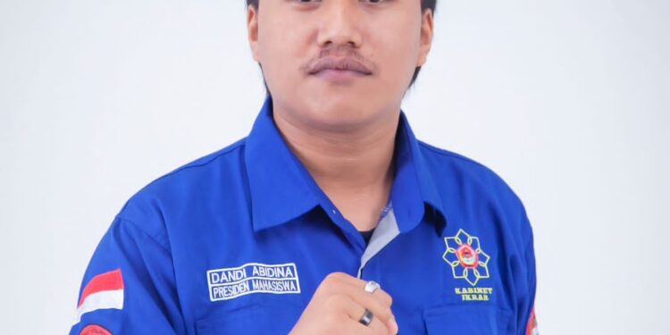 Dandi Abidina
