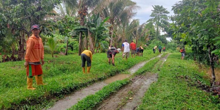 Kerja bakti di desa doda bunta, kecamatan Simpang Raya, kabupaten Banggai. (Dok.ist)