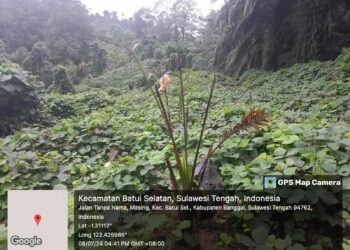 PT. Scem Kembali Berulah, Konflik Agraria Yang Tak Berkesudahan