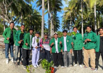 Mahasiswa KKN Unismuh dan Camat Balantak Utara Kolaborasi Tanam Mangrove di Desa Pangkalaseang