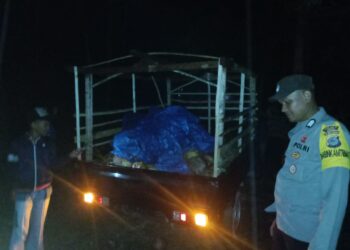 Polisi Amankan Terduga Pencurian Buah Kelapa di Luwuk Selatan