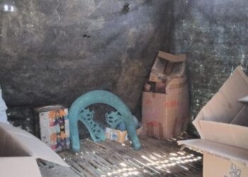 Program SJSP Ayam Pedaging Tak Berkelanjutan, Penerima Manfaat Mengaku Rugi