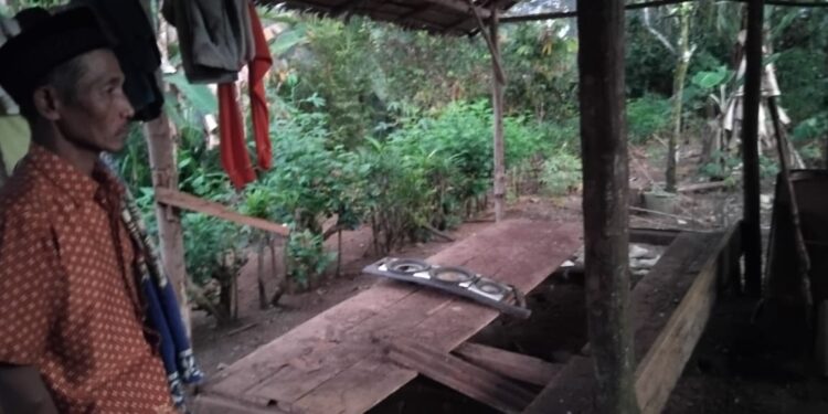 Ngadiono, Ketua RT 2 Desa Uwelolu, Kecamatan Toili menunjukkan sisa kandang ayam pedaging dari program SJSP. (Dok Istimewa)