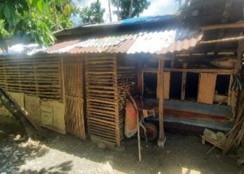 Program Satu Juta Satu Pekarangan di Simpang Raya Gagal Dorong Kemandirian Pangan