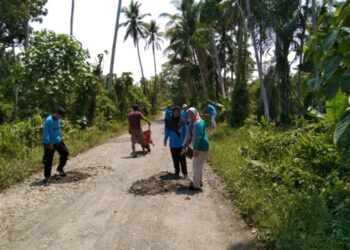 Berikan Kenyamanan Pada Pengguna Jalan, Pemdes dan BPD Hion Kerja Bakti Perbaiki Jalan Rusak