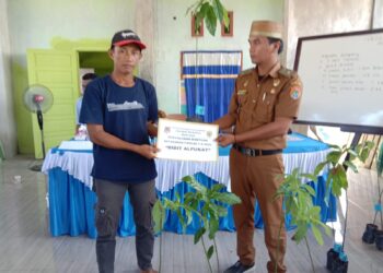 Pemdes Hion Bunta Salurkan Bantuan Bibit Alpukat Ribuan Pohon Ke Masyarakat