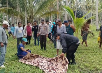 Polisi Evakuasi Jenazah Pria di Perkebunan Nuhon, Banggai