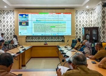 Capaian Kinerja Pemerintahan Kabupaten Banggai Tahun 2024