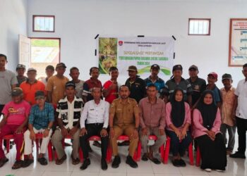 Pemdes Lambako Sosialisasikan Penggunaan Pupuk Organik kepada Petani
