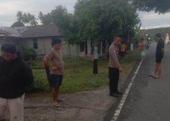 Kecelakaan Maut Awal Tahun 2025 di Kintom, Kakek 71 Tahun Jadi Korban Tabrak Lari