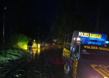 Sempat Putus Diterjang Banjir, Ruas Jalan Trans Palu-Banggai Sudah Bisa Dilewati