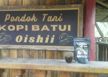 3 Dekade Tanaman Kopi Batui, Hasilkan Produk Kopi Berkualitas