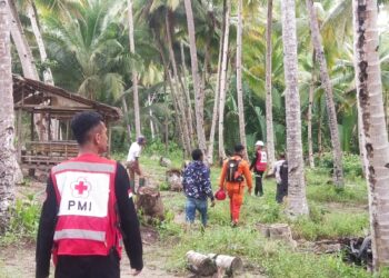 Anak 5 Tahun Hilang di Hutan Bone Baru Banggai Laut