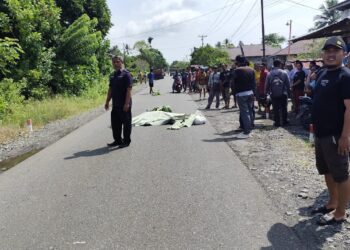 Kecelakaan Maut di Toili Barat, Pemotor Tewas Terlindas Truk