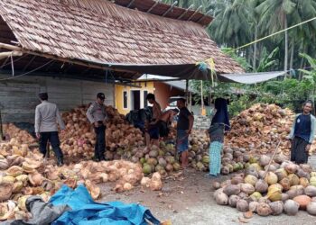 Dukung Asta Cita Ketahanan Pangan, Polsek Nuhon Beri Motivasi Petani Kelapa