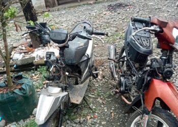 Warga Tahan 2 Unit Sepeda Motor dan Ponsel Terduga Komplotan Pencuri Buah Kelapa di Masama