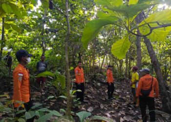 Nenek 70 Tahun Hilang di Hutan Desa Tikupon Banggai, Tim SAR Lakukan Pencarian