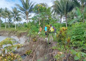 Puluhan Makam Terancam Longsor di Desa Koninis Banggai, Warga: 3 Makam Pernah Hanyut