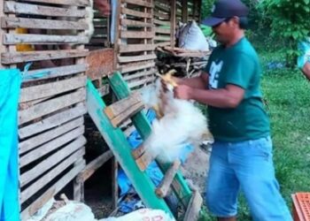 Program Inovatif Bupati Banggai Sangat Membantu, Ibu Anthi : SJSP Itu Tidak Gagal