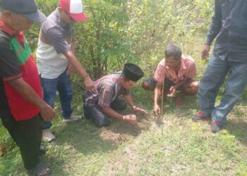 Konservasi Maleo Sambal Dibentuk untuk Pelestarian Burung Maleo di Tanah Batui