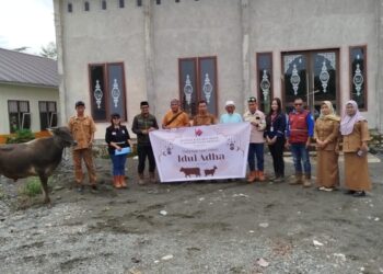 Pemdes Hion Bunta Terima Sumbangan Sapi Kurban Dari PT KFM