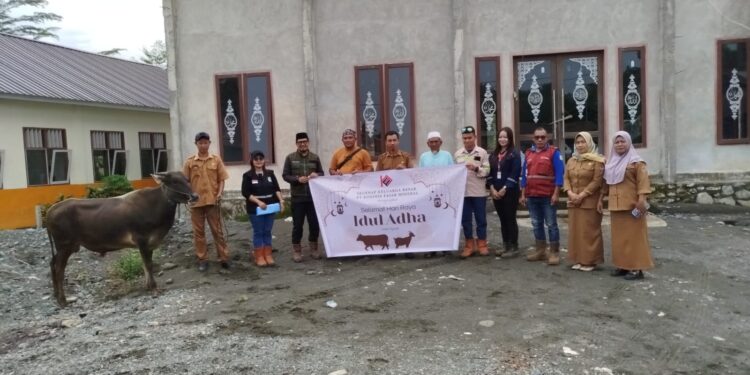 Pemerintah desa Hion dan tokoh agama menerima sumbangan sapi kurban dari PT KFM Koninis Fajar Mineral. (Dok.Ist)