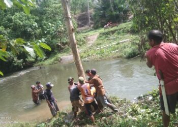 Kesulitan Akses Jalan ke Kebun, Kades Hion Bersama Warga Kerja Bakti Buat Jembatan Darurat