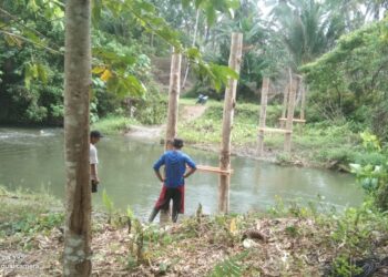 Demi Lancarkan Akses ke Kebun, Masyarakat Hion Kerja Bakti Buat Jembatan Darurat