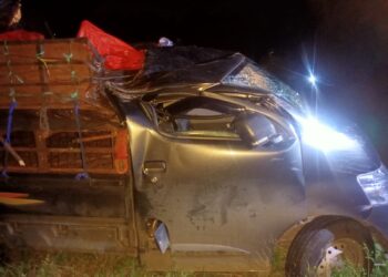 Kecelakaan Tunggal di Pagimana, Penumpang Mobil Tak Sadarkan Diri Tertimpa Pohon Tumbang