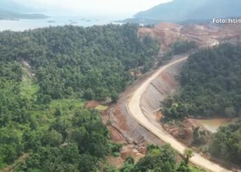 Walhi Sulteng Temukan Ada Dugaan Pelanggaran Lingkungan di Tambang Nikel Siuna