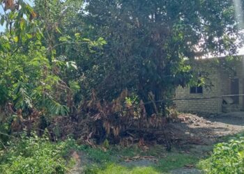 Kabel Listrik PLN di Dondo Soboli Bunta Menjulur Ketanah, Keselamatan Warga Terancam