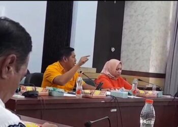 Tambang Nikel di Banggai Disorot: Irwanto Kulap Beberkan Kerugian Lingkungan dan Ekonomi Warga Desa Siuna