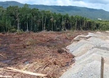Hampir 8 Hektare Mangrove di Desa Siuna Banggai Dibabat Habis untuk Kepentingan Tambang Nikel