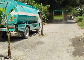 PT PAU Setengah Hati Perbaiki Jalan Rusak, Warga Kompanga Banggai Tanam Pohon Pisang di Tengah Jalan