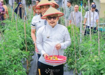 Dari Pekarangan ke Dapur, Dari TPHP Untuk Masyarakat