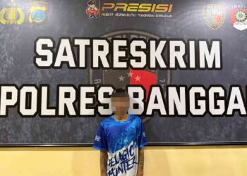 Aniaya Ibu Kandung, Seorang Anak di Kota Luwuk Diamankan Polisi