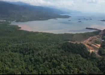 Bahaya Tambang Nikel bagi Pertanian, Ancaman Kelaparan Menanti