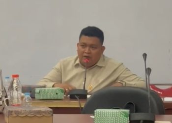 Rika Syarifudin Soroti Fasilitas Puskesmas Sinorang, Ambulans Tak Layak- Kekurangan Ruang Rawat Inap