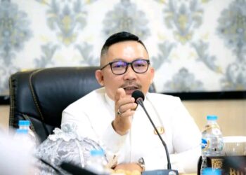 Tindak Tegas 6 Perusahaan Tambang Nikel Bermasalah di Desa Siuna, Bupati Amirudin Akan Temui Kementerian Terkait!