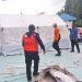 Aksi Cepat Tanggap BPBD-PMI Bangkep: Dirikan Tenda Darurat Setelah Ratusan Pelajar Keracunan Massal