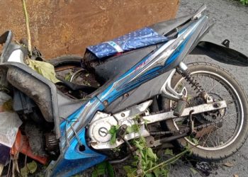 Kecelakaan di Banggai Laut: Ibu dan Anak Jadi Korban Tabrakan Pikap Oleng